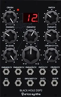 Erica Synths Black Hole DSP 2 — 16 HP