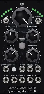 Erica Synths Black Stereo Reverb — 12 HP